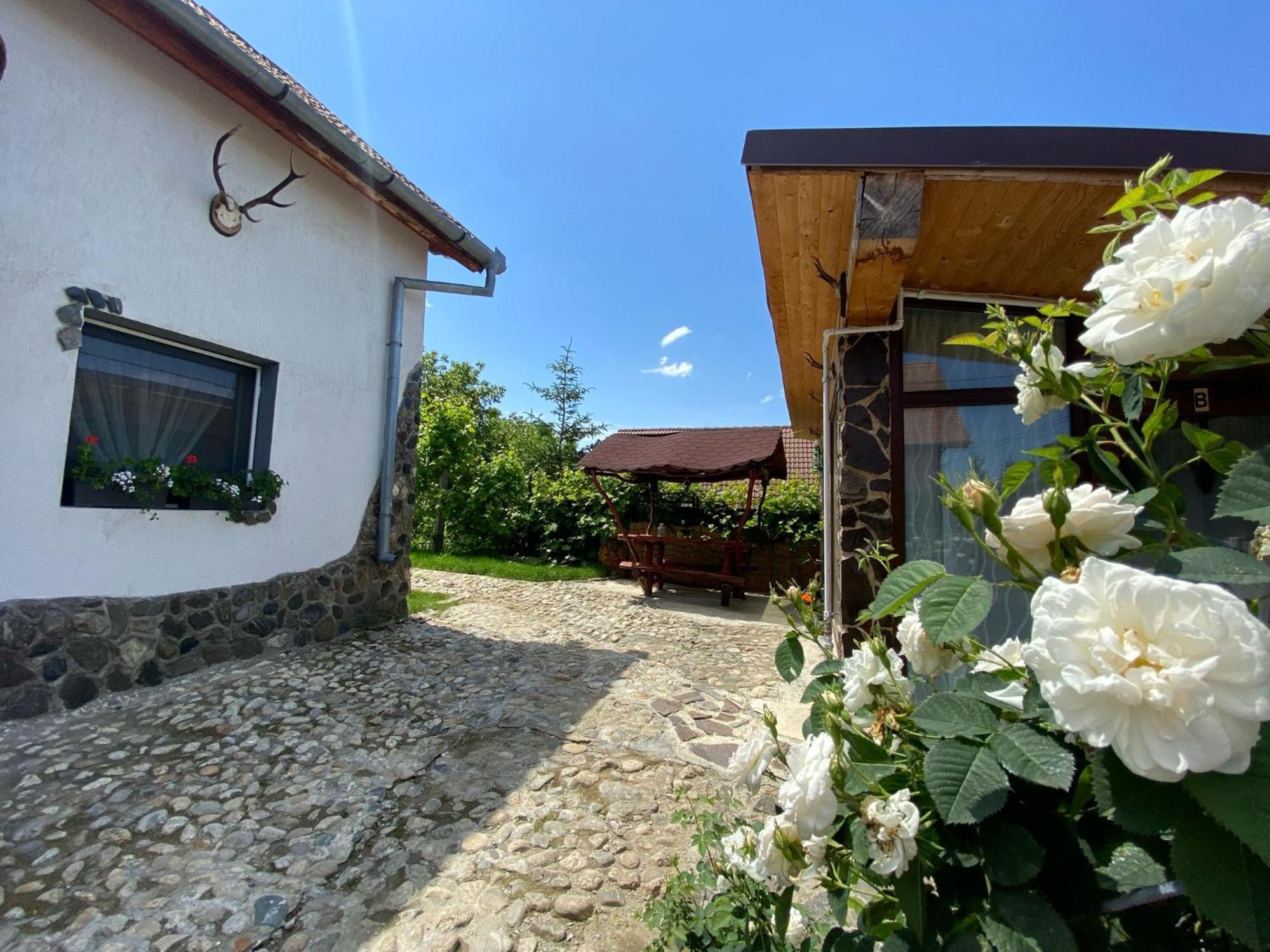 Cazare La Luiza B Sura Mare Exterior photo