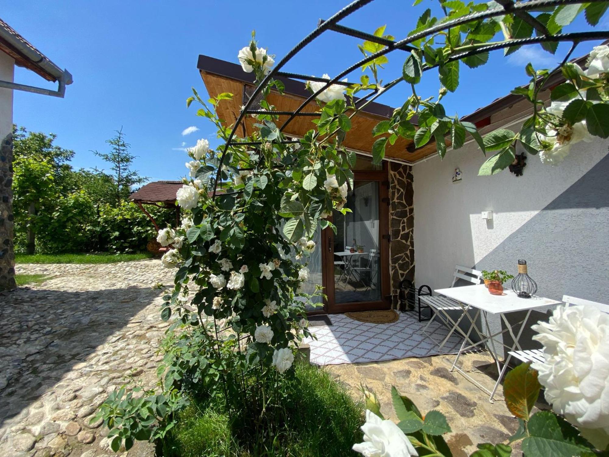 Cazare La Luiza B Sura Mare Exterior photo
